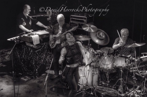 Click to view full size image
==============
SGFB_SOUTHAMPTON00009.jpg SGFB_SOUTHAMPTON00009.jpg