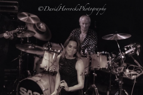 Click to view full size image
==============
SGFB_SOUTHAMPTON00023.jpg SGFB_SOUTHAMPTON00023.jpg