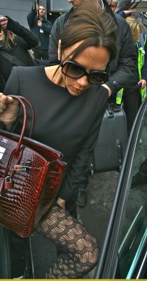 Click to view full size image
==============
0000_(5).jpg 0000_(5).jpg