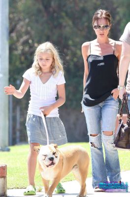 Click to view full size image
==============
SGFB_Brentwood00014.jpg SGFB_Brentwood00014.jpg