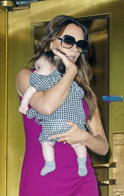 Click to view full size image
==============
SGFB_plaza0013.jpg SGFB_plaza0013.jpg