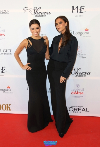 Click to view full size image
==============
SGFB_Gala00009.jpg SGFB_Gala00009.jpg