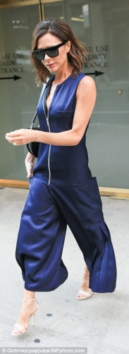 Click to view full size image
==============
SGFB_NY00004.jpg SGFB_NY00004.jpg