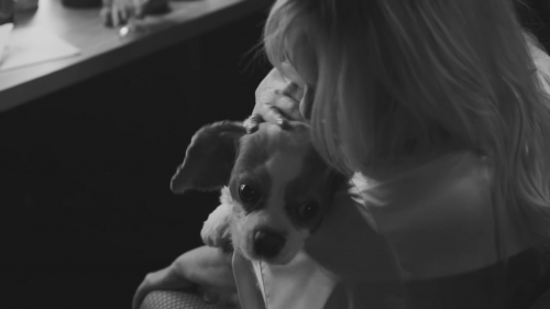 Click to view full size image
==============
SGFB_babypleasedontstop00301.jpg SGFB_babypleasedontstop00301.jpg