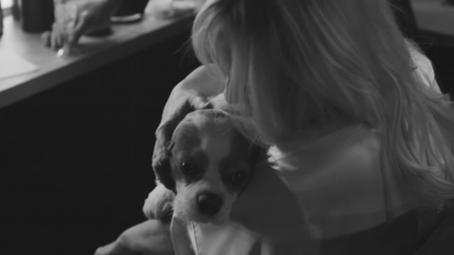 Click to view full size image
==============
SGFB_babypleasedontstop00304.jpg SGFB_babypleasedontstop00304.jpg