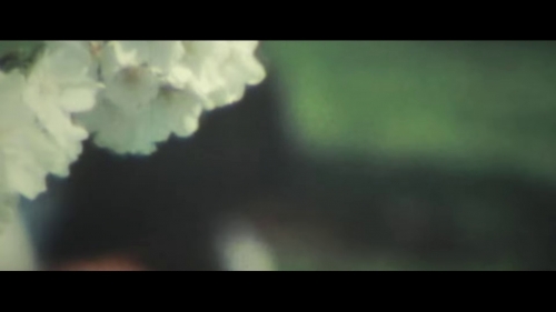 Click to view full size image
==============
SGFB_dl00019.jpg SGFB_dl00019.jpg