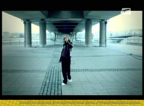 SGFB_iwc00037.jpg SGFB_iwc00037.jpg