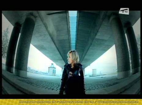 SGFB_iwc00104.jpg SGFB_iwc00104.jpg