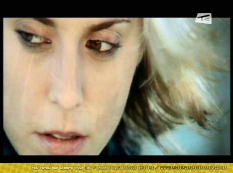 SGFB_iwc00160.jpg SGFB_iwc00160.jpg