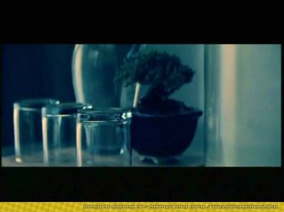 Click to view full size image
==============
SGFB_nbtsa00032.jpg SGFB_nbtsa00032.jpg