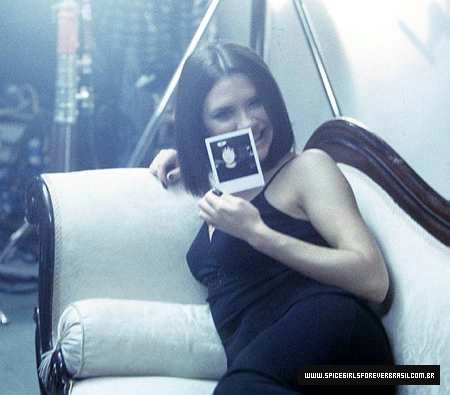 spicepix_01_362.jpg spicepix_01_362.jpg