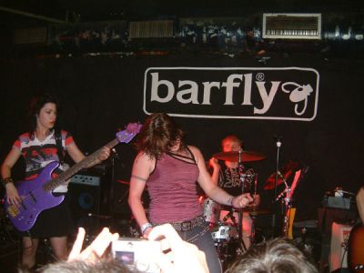 Click to view full size image
==============
mcbarfly136.jpg mcbarfly136.jpg