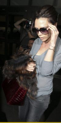 Victoria_Beckham_JFK_LAX_airport621.jpg