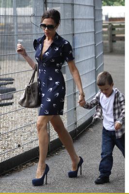 Click to view full size image
==============
SGFB_WestwaySports00027.jpg SGFB_WestwaySports00027.jpg