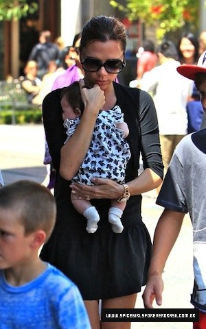 SGFB_groove0006.jpg SGFB_groove0006.jpg