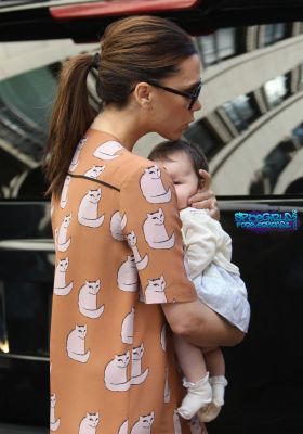 Click to view full size image
==============
SGFB_Chanel0008.jpg SGFB_Chanel0008.jpg