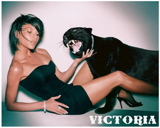 vicsig8sk.jpg vicsig8sk.jpg