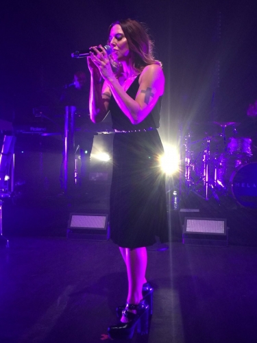 Click to view full size image
==============
SGFB_BushEmpire00011.jpg SGFB_BushEmpire00011.jpg